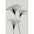 Florais em Linhas Minimalistas I - comprar online