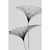 Florais em Linhas Minimalistas III - comprar online