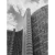Coleção Cidades - São Paulo XXIII