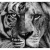 Tigre e Leão I