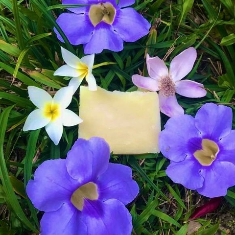 Xampu Barra - Tea Tree 80g