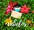Banner de Plante Água