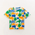 CAMISETA ENSOLARADO