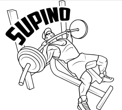 Supino Vestuário Fitness