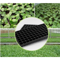 Bandeja De Germinación Semillero Huerta 72 Celdas Plantines - tienda online
