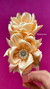 Tiara Florescer