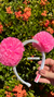 Tiara Pompom na internet
