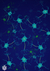 Lámina: Conexiones neuronales