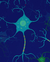 Lámina: Conexiones neuronales - comprar online