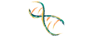 ADN