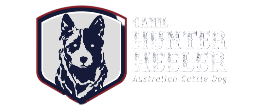 Hunter Heeler Shop