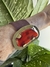 Brazalete Brasa de Ámbar