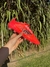 Adidas F50 Elite FG en internet
