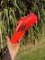 Adidas F50 Elite FG - BotinesMaxPro3s