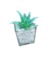 Pack X12 Plantas Artificial en Maceta Vidrio Cactus Suculenta - Tecno Deco Store