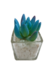 Pack X12 Plantas Artificial en Maceta Vidrio Cactus Suculenta - Tecno Deco Store