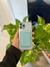 Imagen de Billetera de cuero para iphone con MagSafe