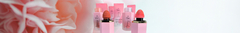 Banner for category BLUSH