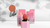 Blush - Vianney Rico Cosmetics