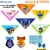 acessórios Pet Stitch kit 50 unidades variadas - comprar online