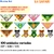 Acessórios pet SAFARI bandanas sortidas personalizadas na internet
