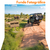 Fundo Fotográfico Pet Safari africa 01 PERSONALIZADO