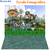 Fundo Fotográfico Pet Dino 01 PERSONALIZADO