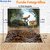 Fundo Fotográfico Pet Dino 02 PERSONALIZADO na internet