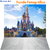 Fundo Fotográfico Pet Disney 02 PERSONALIZADO
