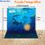 Fundo Fotográfico Pet Nemo 02 PERSONALIZADO - Acessórios Pet  Banho e Tosa personalizados Mousse Pet