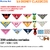 Acessórios pet DISNEY Clássicos bandanas sortidas personalizadas - Acessórios Pet  Banho e Tosa personalizados Mousse Pet