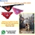 Acessórios Super Herois bandanas personalizadas - Acessórios Pet  Banho e Tosa personalizados Mousse Pet