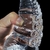 Dildos Tentáculos Transparentes - Refugio Intimo