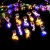 Fio fada de led 10 lampadas 5 und - comprar online