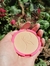 Polvo compacto