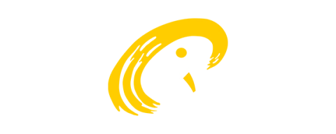 Dynamic Sport
