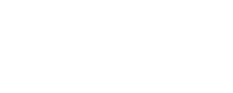 SpeedyPro Performance