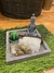 Jardin Zen Cuadrado