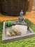 Jardin Zen Cuadrado - comprar online