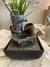 Fuente zen