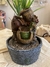 Fuente zen
