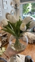 Tulipan - comprar online