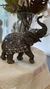Elefante Espejos