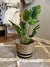 Canasto - comprar online