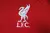 Camisa Liverpool 2023/24 Home Masculina Nike Torcedor - Vermelha - comprar online