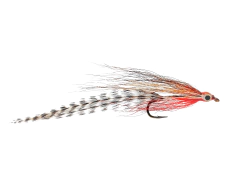 T Minnow natural