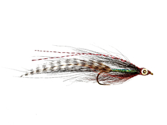 T Minnow negro