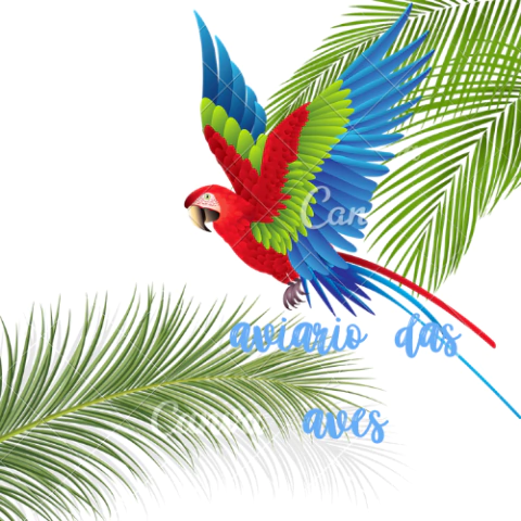 aviário das aves