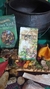 Porta Tarot - Sou Leoa Shop