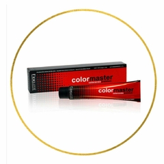 Tintura colormaster Fidelite
